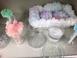 結晶実験（食塩・ミョウバン）の開発段階