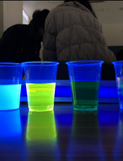 2019年3月　活動報告