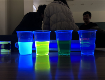 2019年3月　活動報告