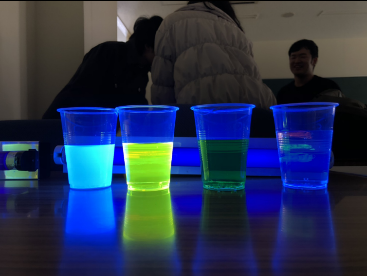 2019年3月　活動報告